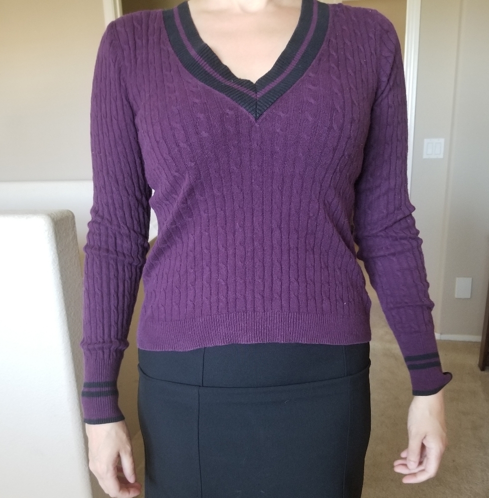 Express Preppy V-neck Sweater - Plum